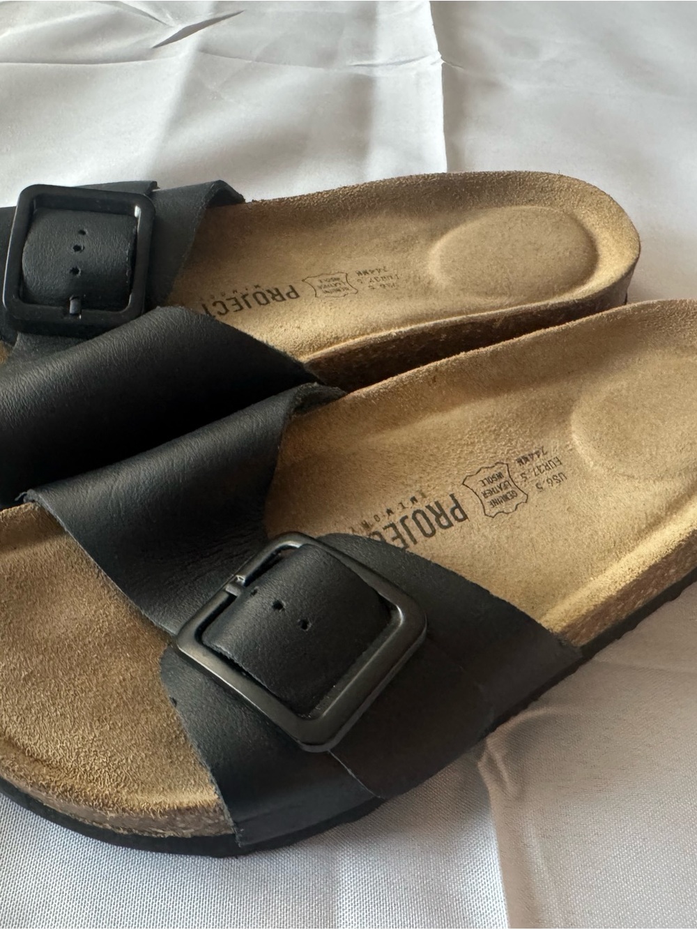 Black Dual-Buckle Slide Sandals - Project Cloudt